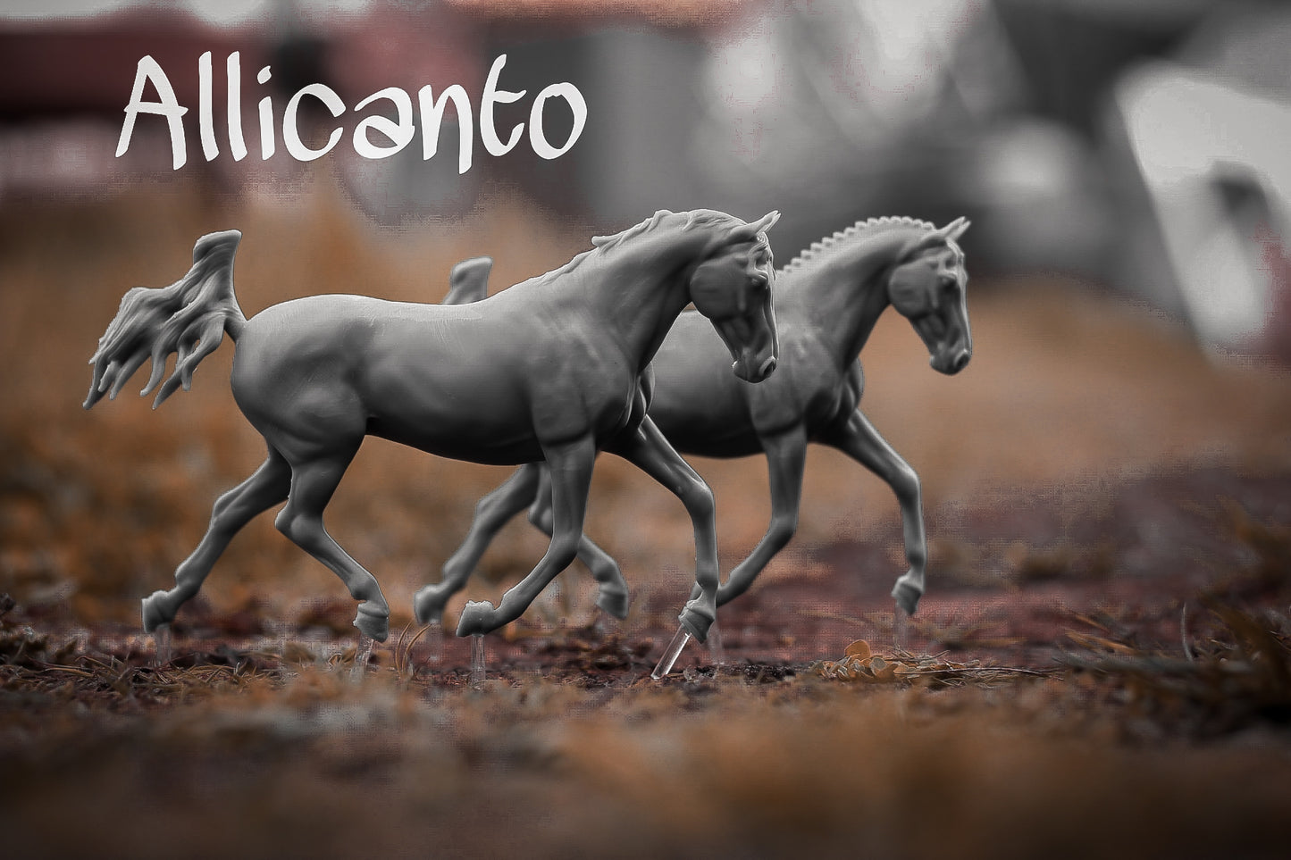 Allicanto open