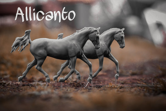 Allicanto braid