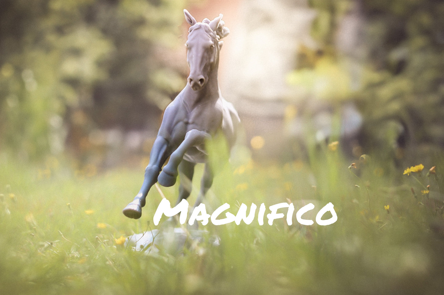 Magnifico