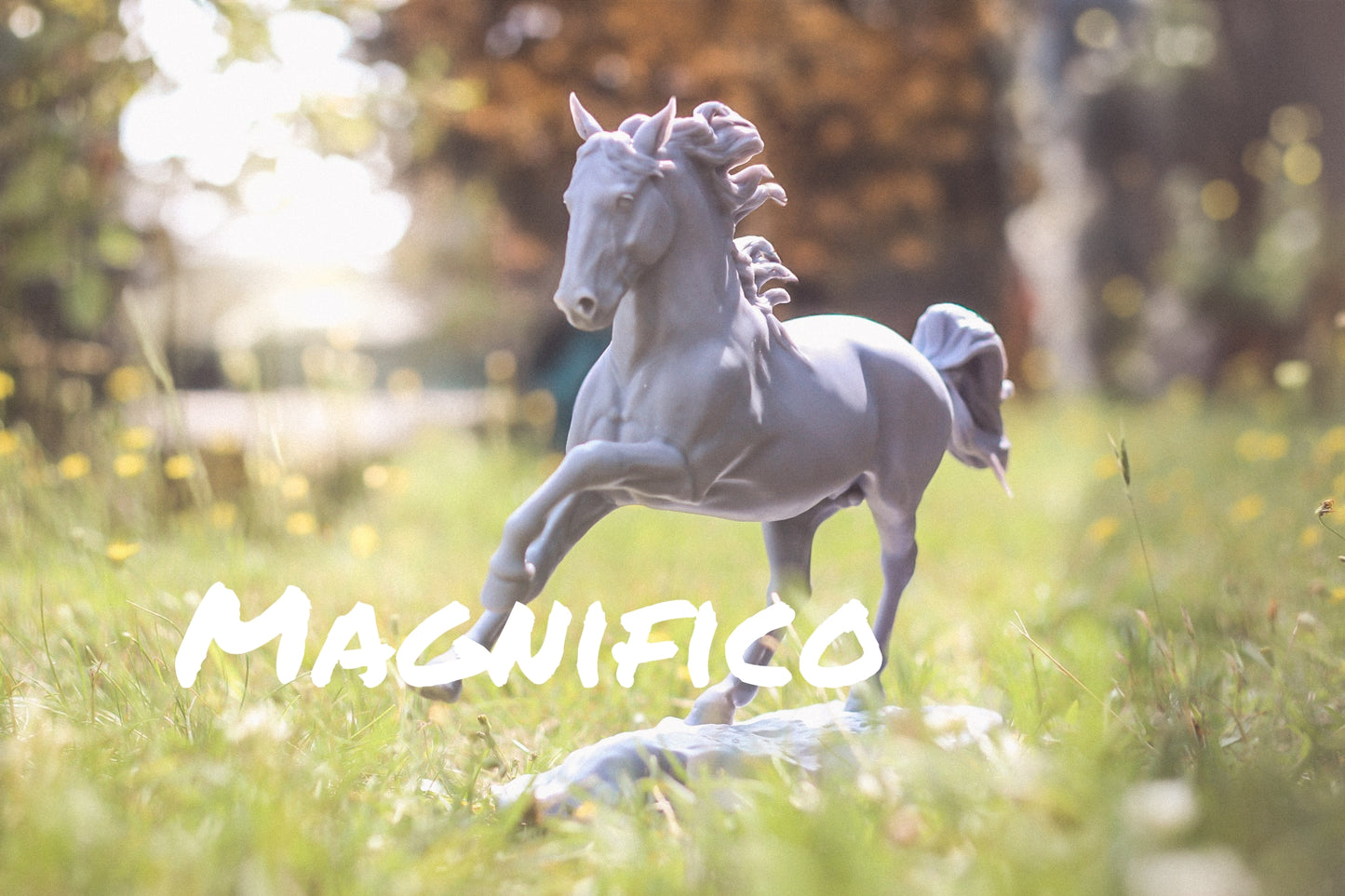 Magnifico