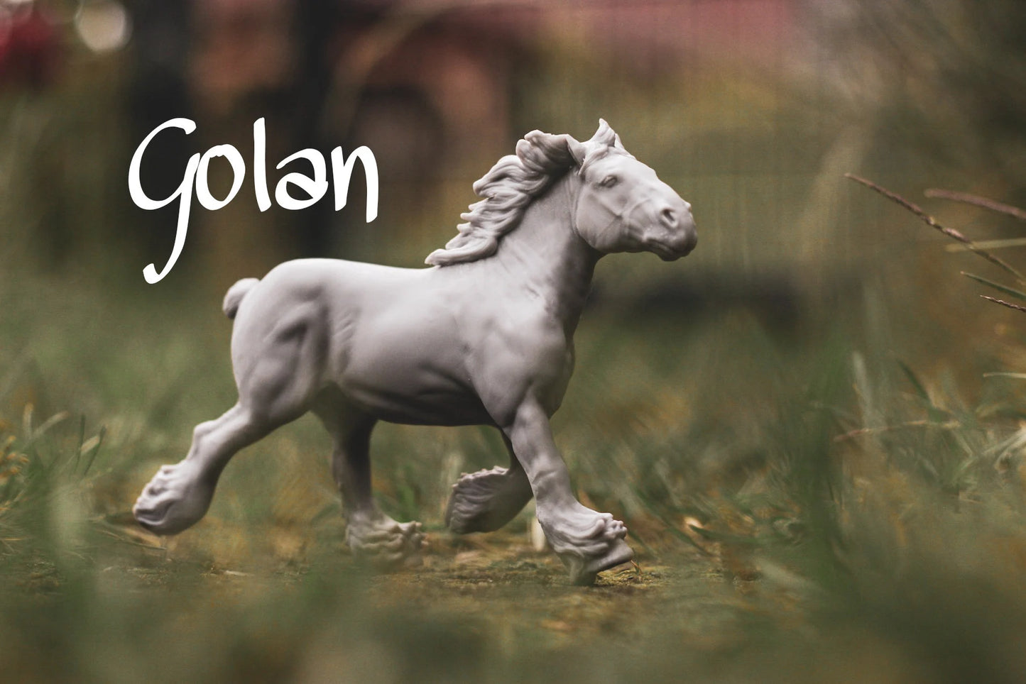Golan