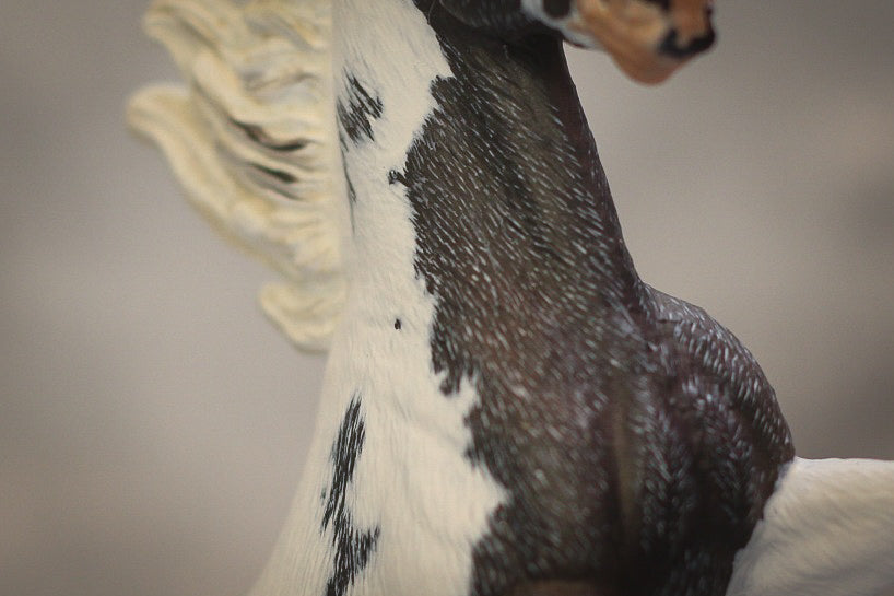 Schleich repaint Zeus