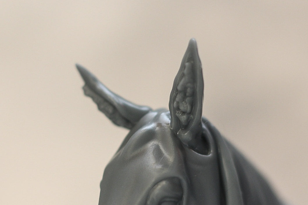 Beetlejuice Esel Halloween