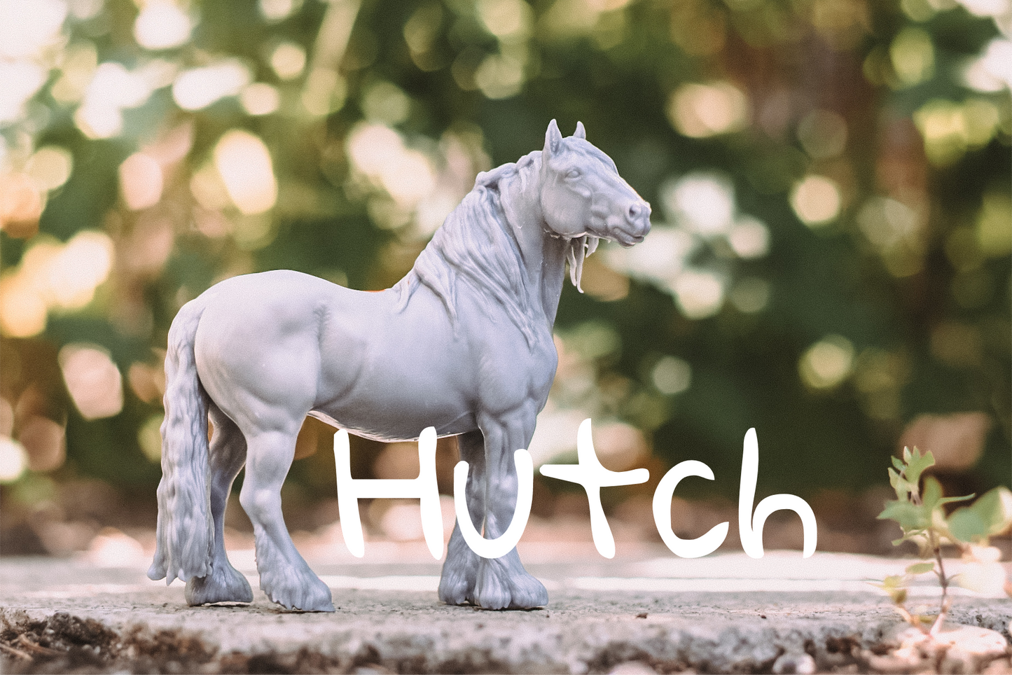 Hutch