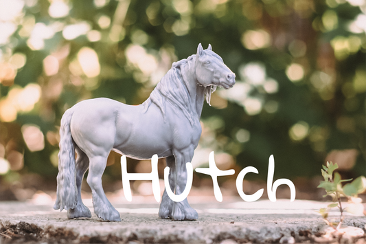 Hutch