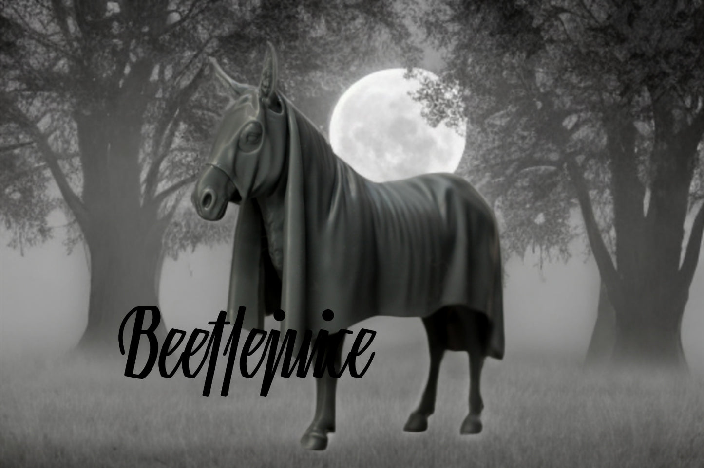 Beetlejuice Esel Halloween