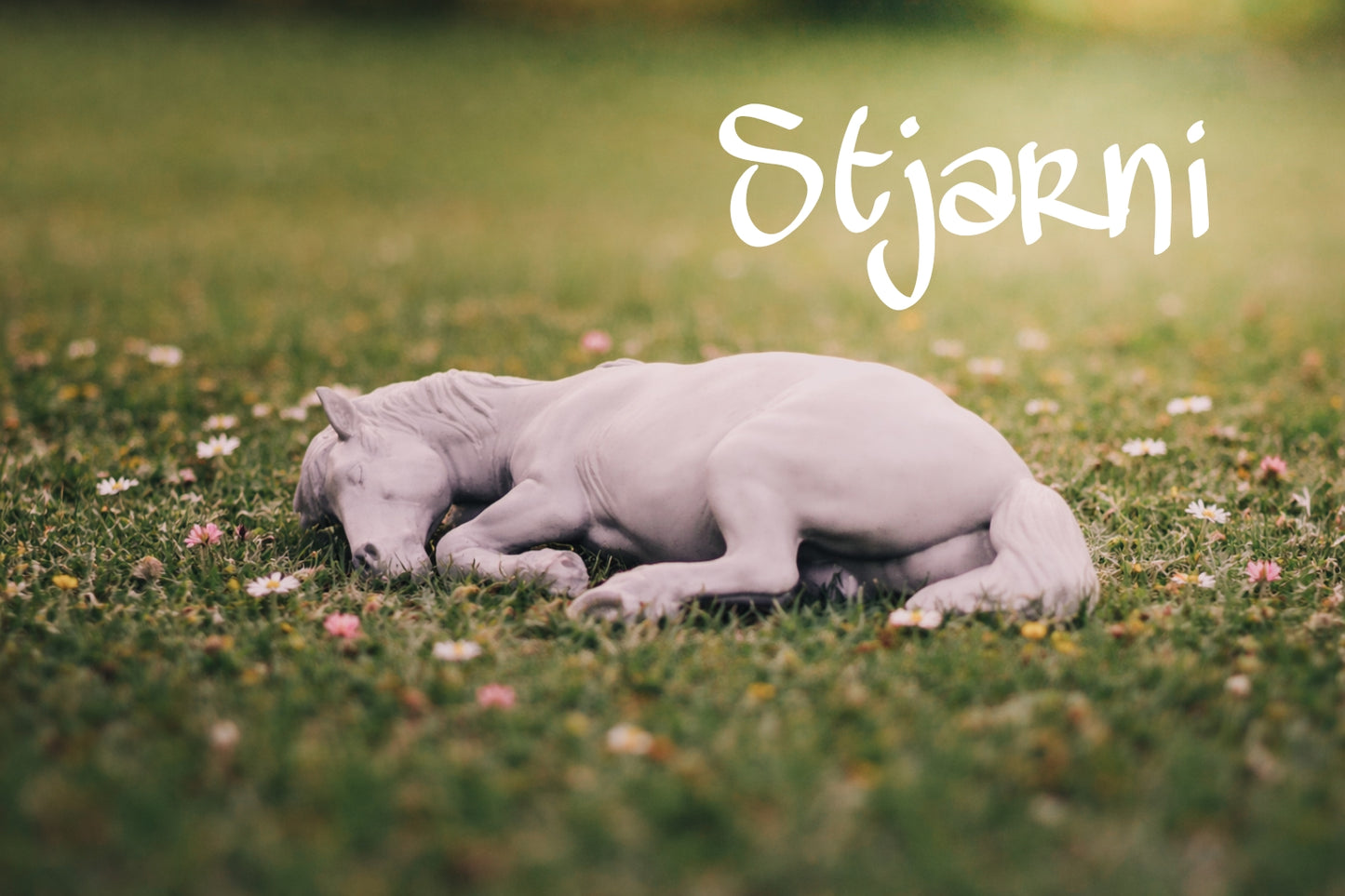 Stjarni