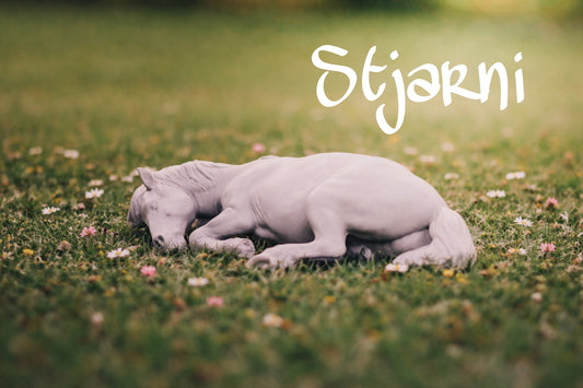 Stjarni